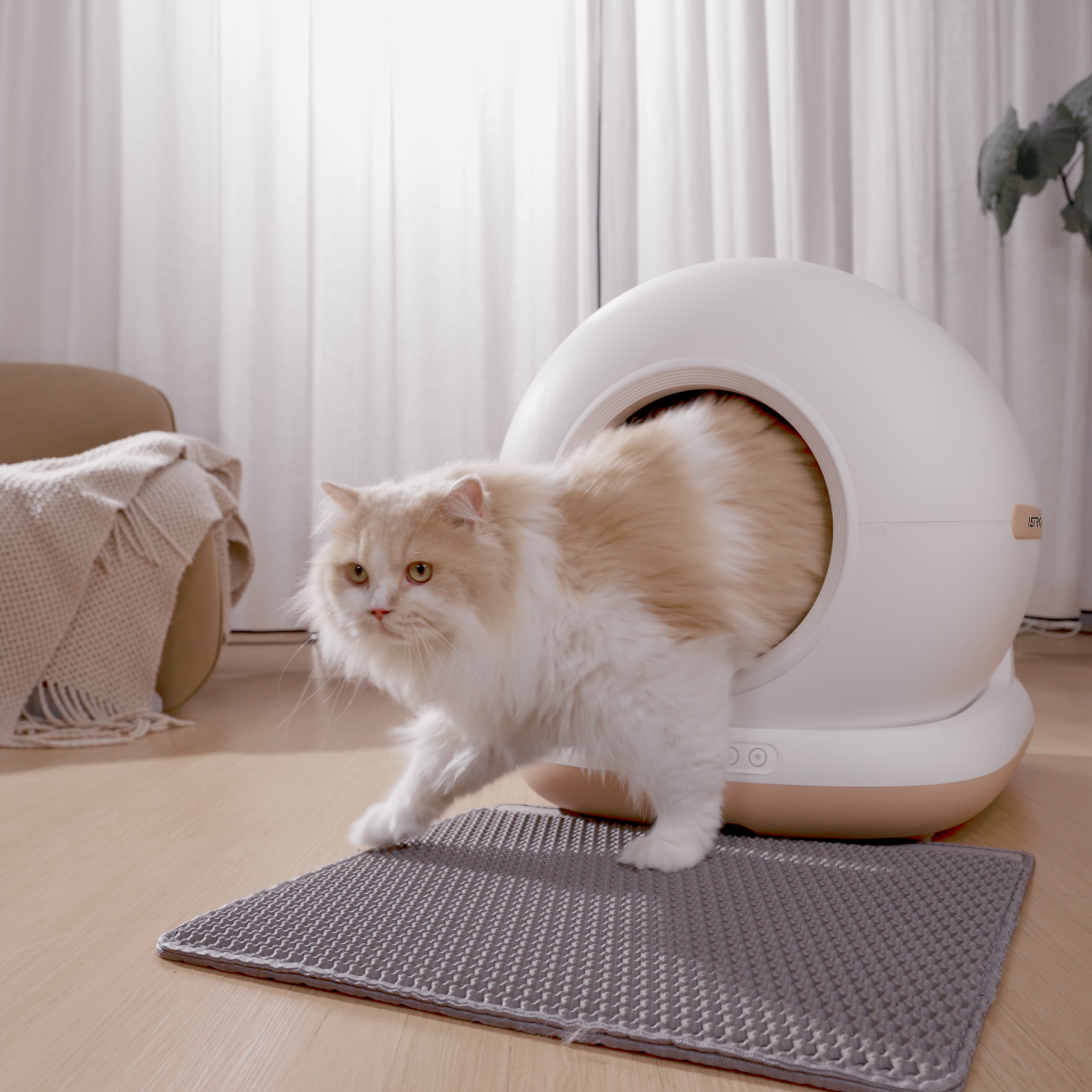Neptune - Selbstreinigende Katzentoilette - Max Paket