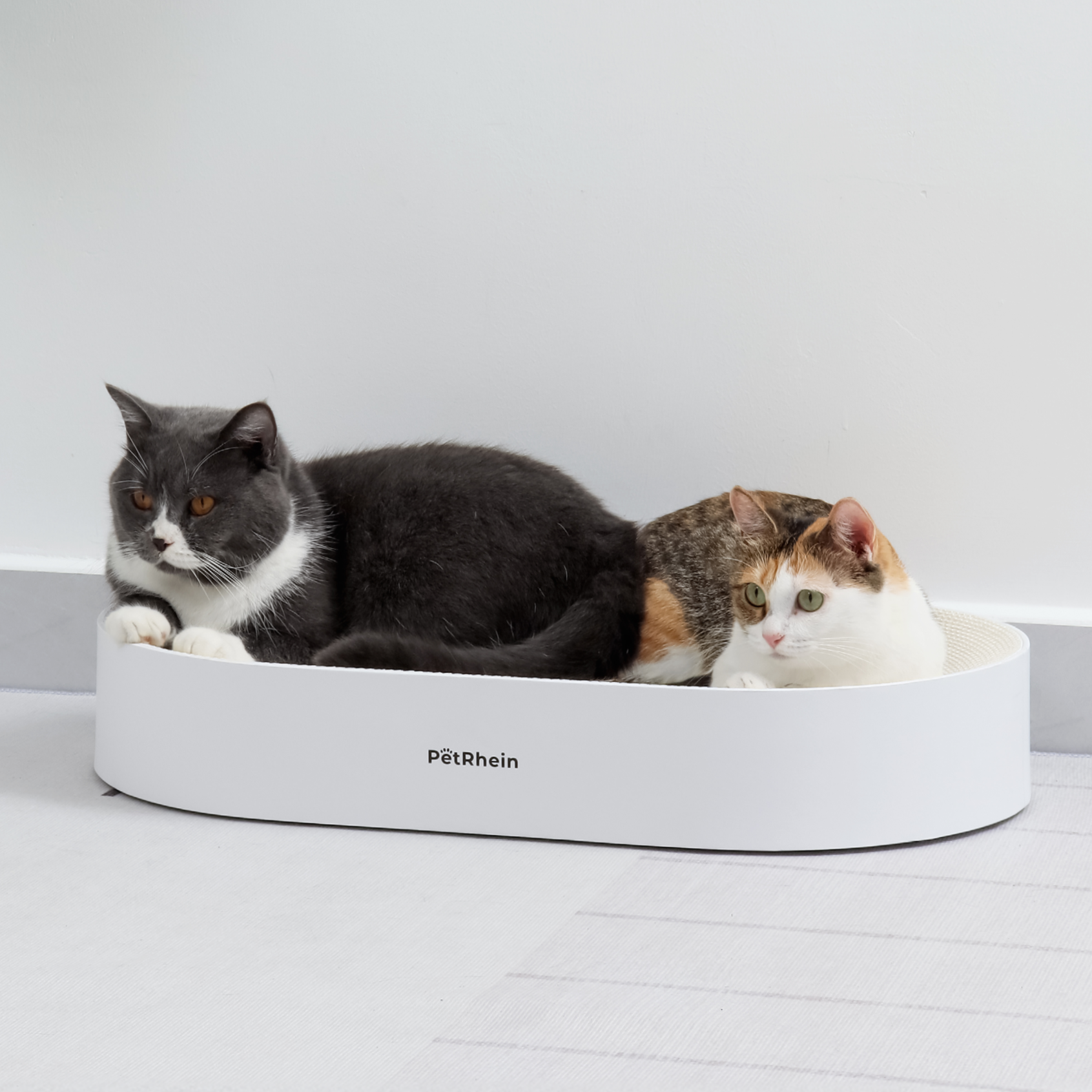 Zen Paw Kratzbrett in Weiß