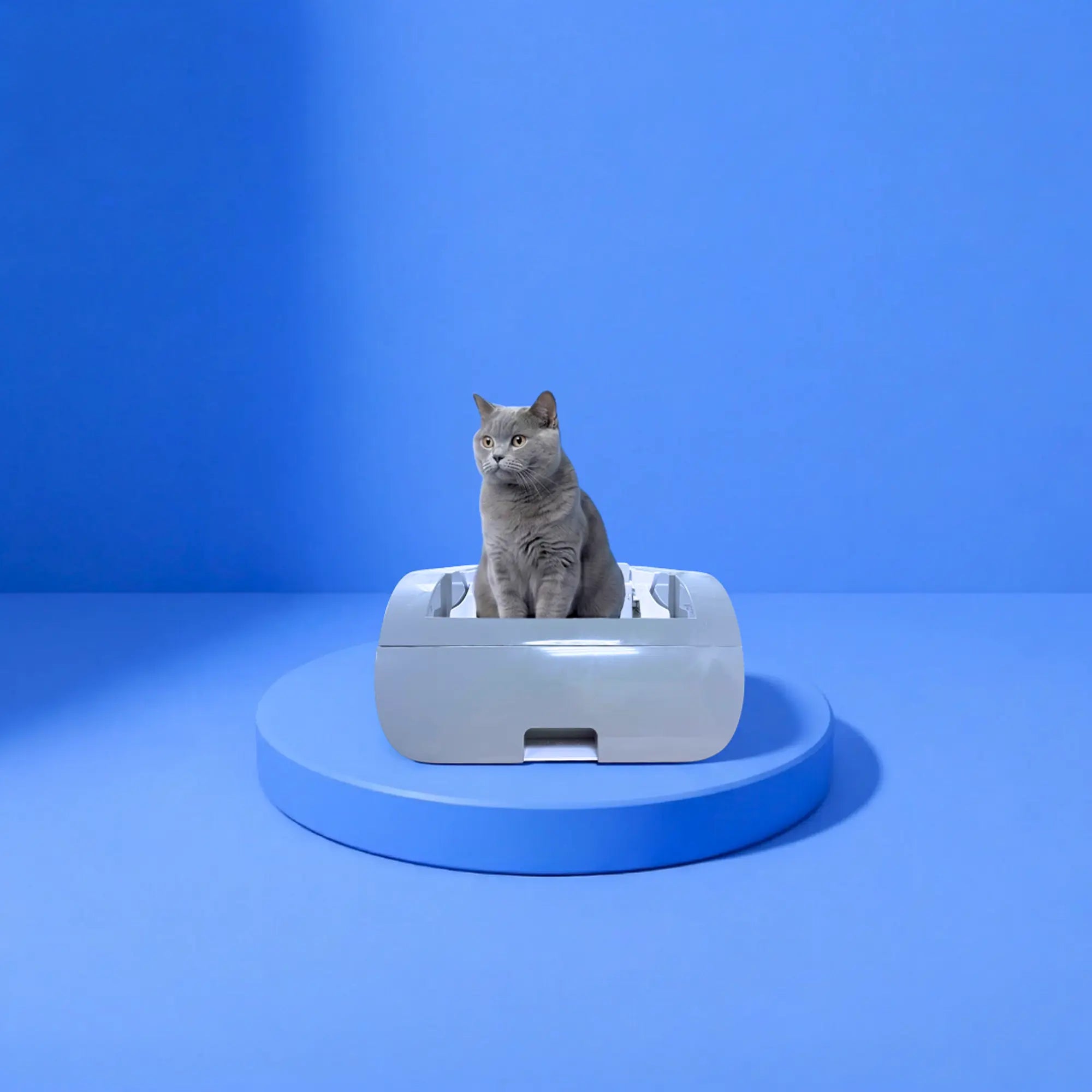 Helios - Selbstreinigende Katzentoilette