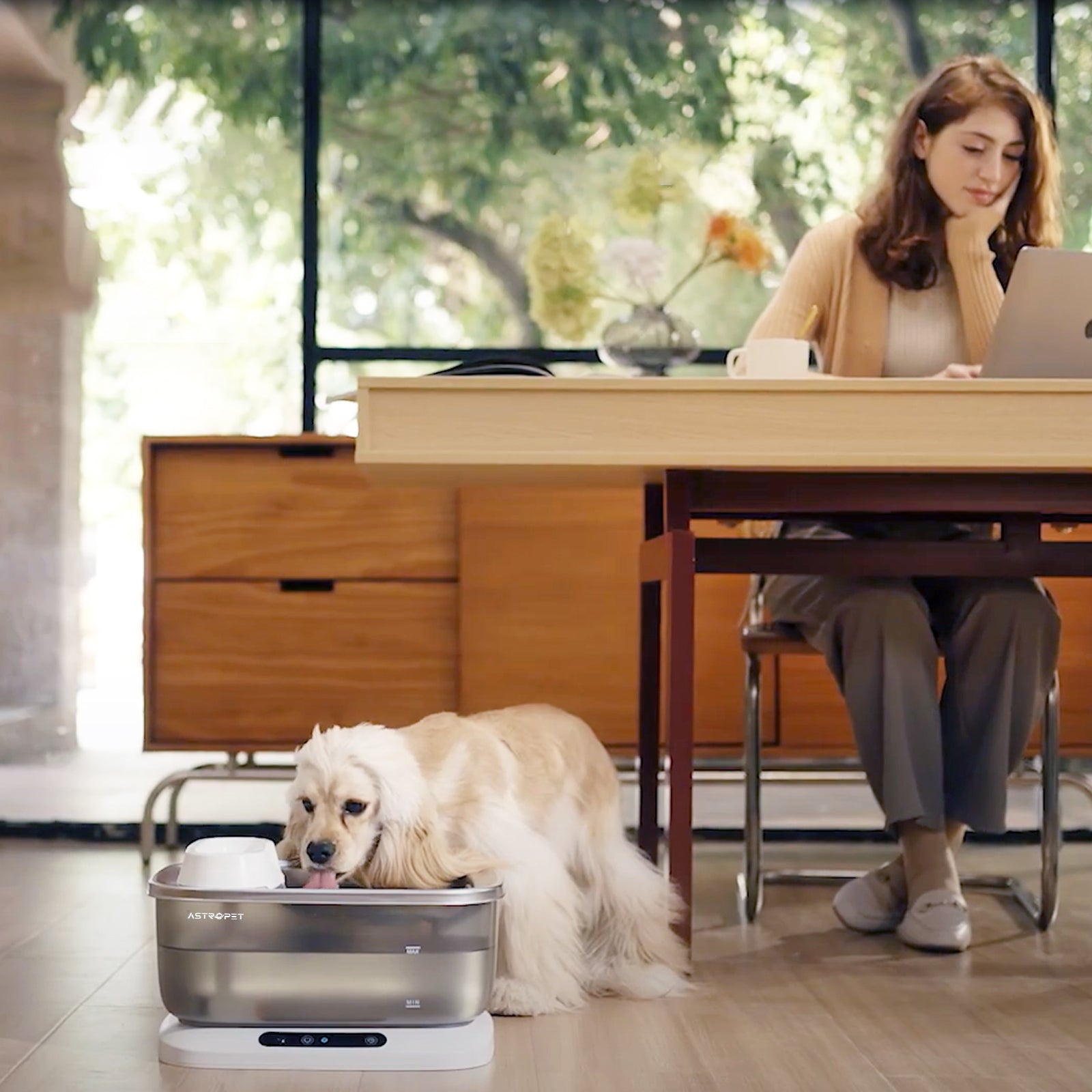Poseidon Pro - drinking fountain