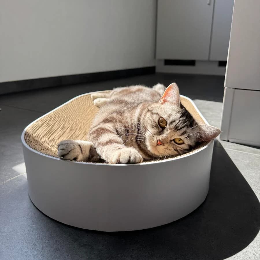 Kundenfoto: Katze auf einem AstroPet Kratzmöbel