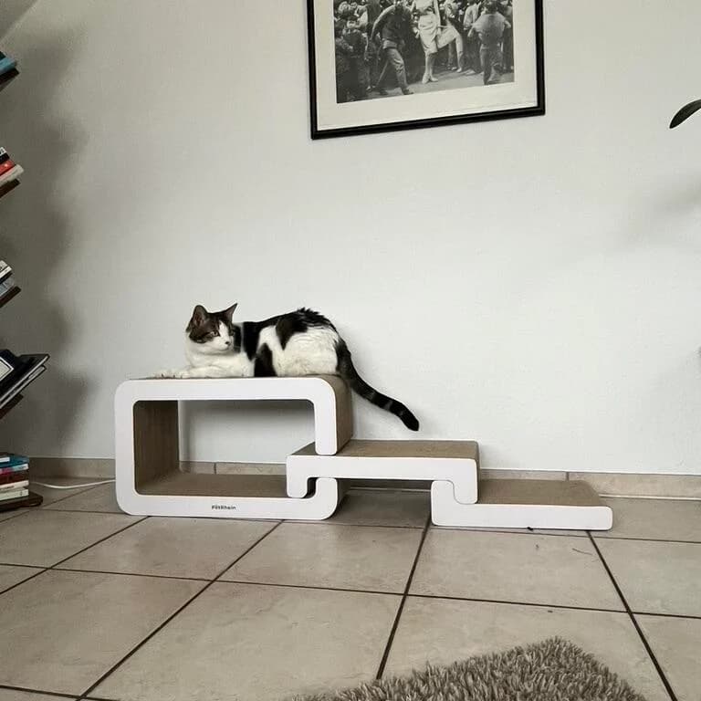 Kundenfoto: Katze auf einem AstroPet Kratzmöbel