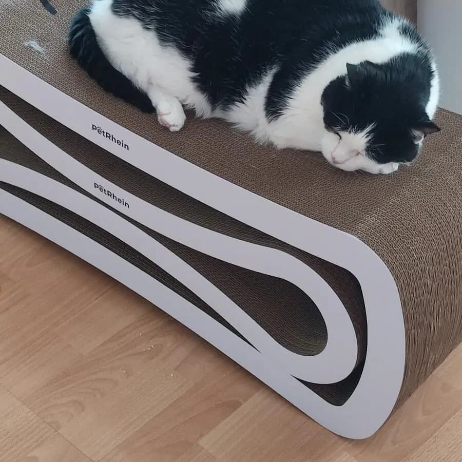 Kundenfoto: Katze auf einem AstroPet Kratzmöbel