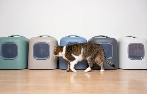 Vergleich der besten automatischen Katzentoiletten: Finde die perfekte Lösung für dich und deine Katze.