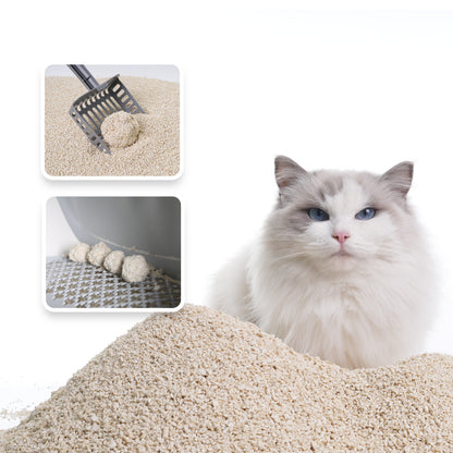 Catsplan original