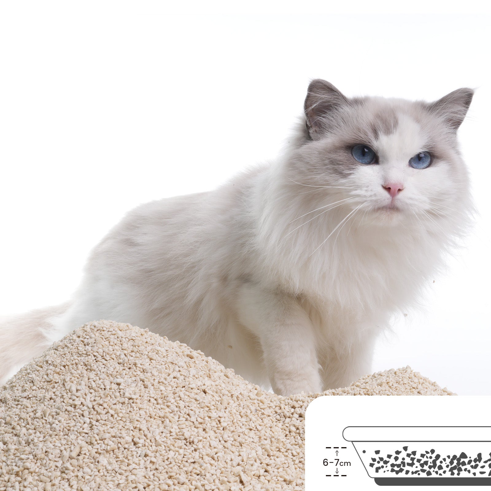 Catsplan original