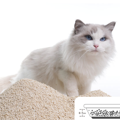 Catsplan original