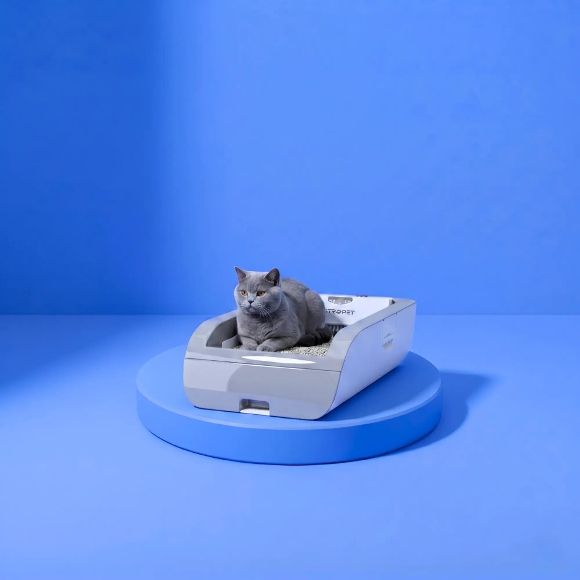 Helios - Self-cleaning Cat toilet + smart app