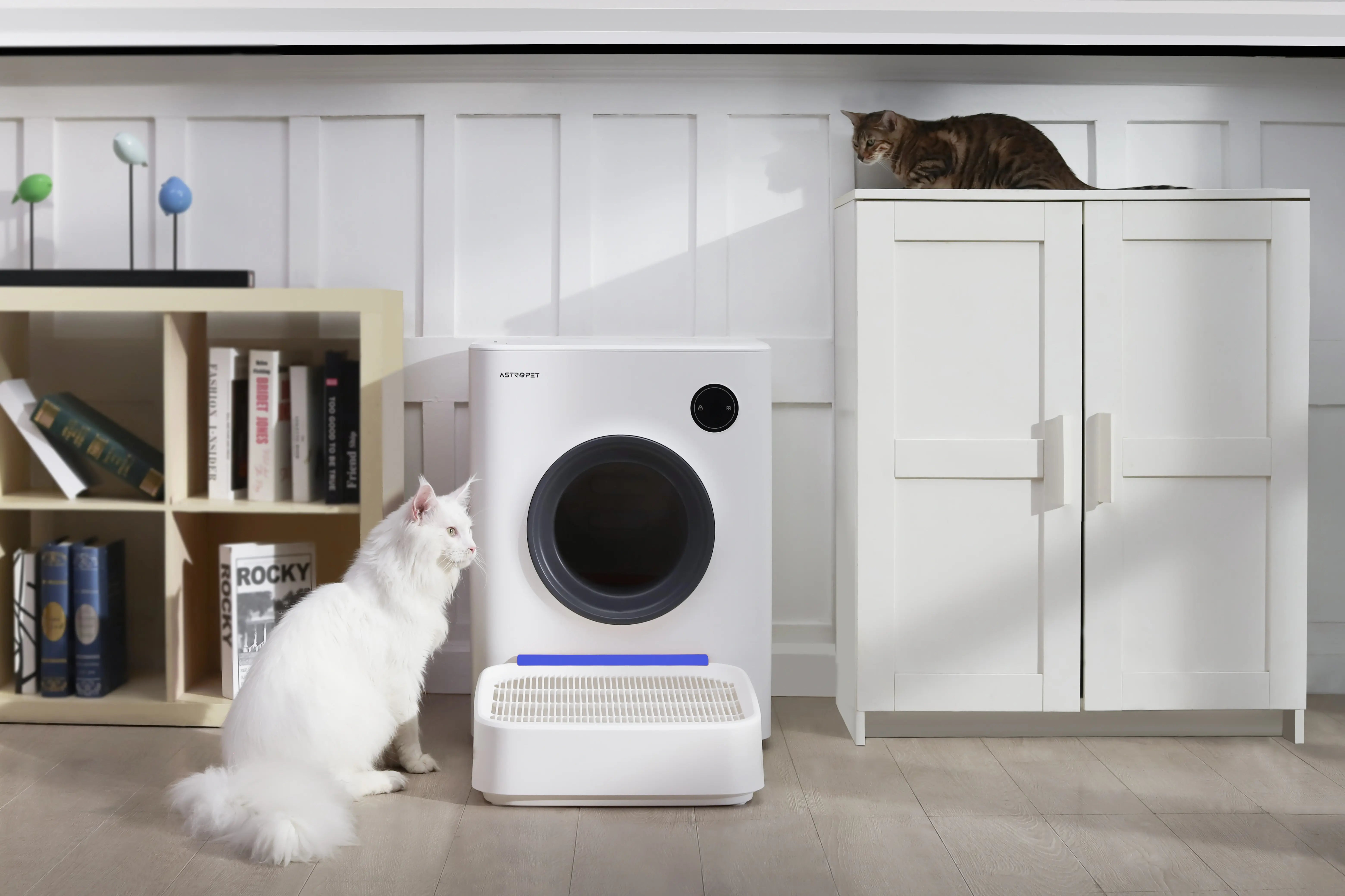 Tapis pour litière de chat AstroPet pour la série Mercury 