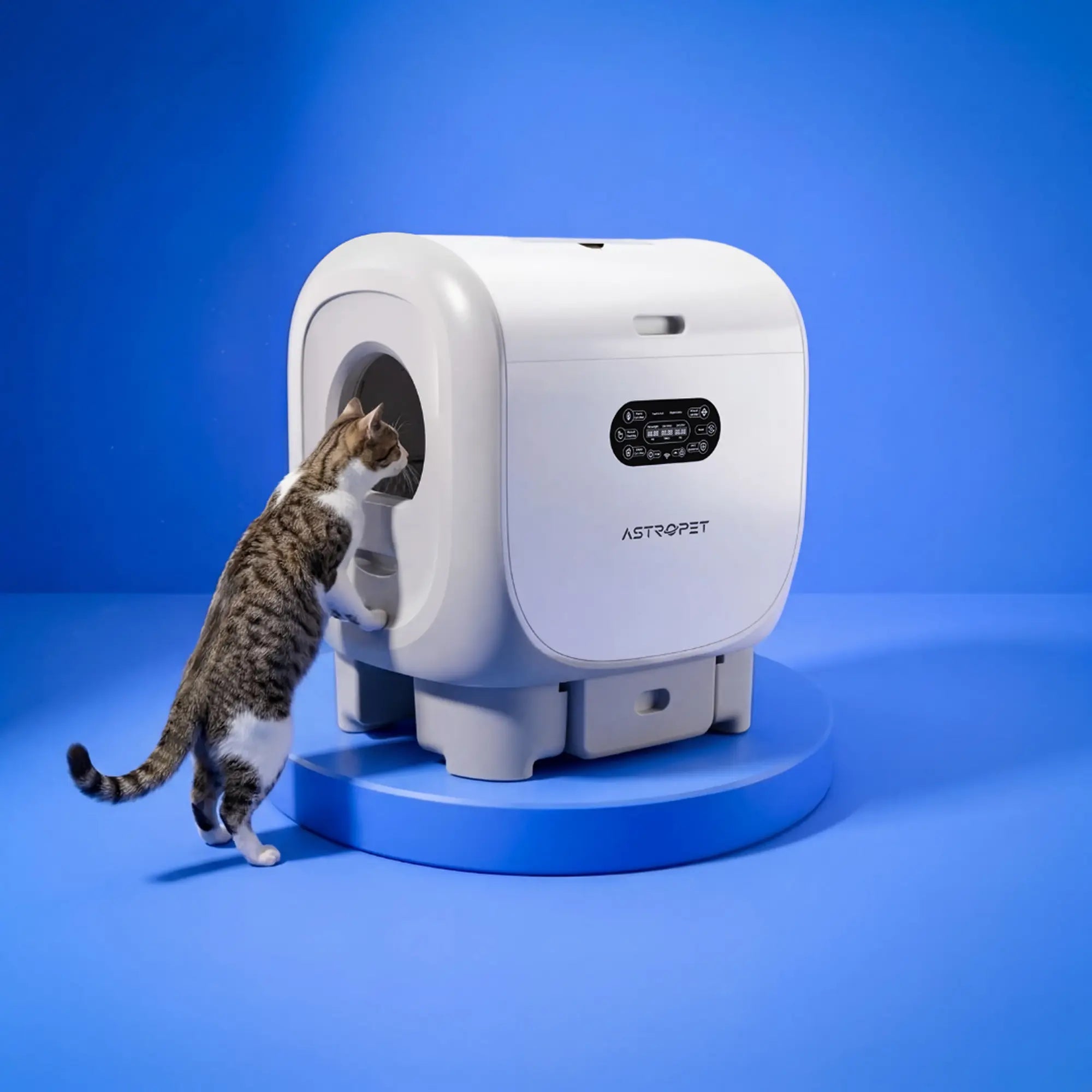 Jupiter Pro - XXL Selbstreinigende Katzentoilette