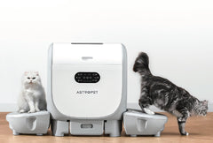 AstroPet Katzenstreu-Matte für Jupiter Series 2er Paket