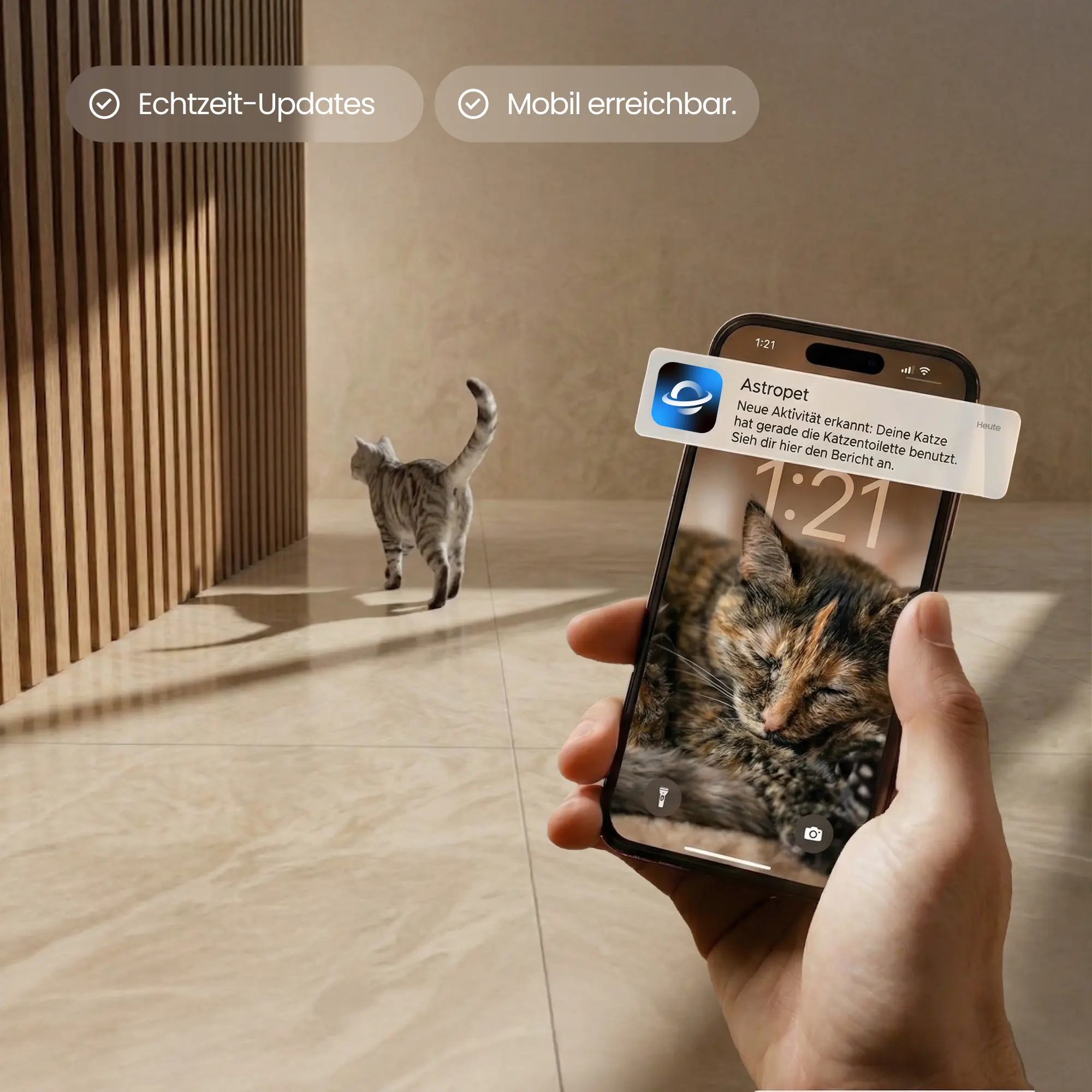 Neptune - Self-cleaning Cat toilet + smart app