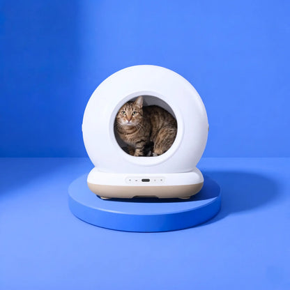 Neptune - Selbstreinigende Katzentoilette