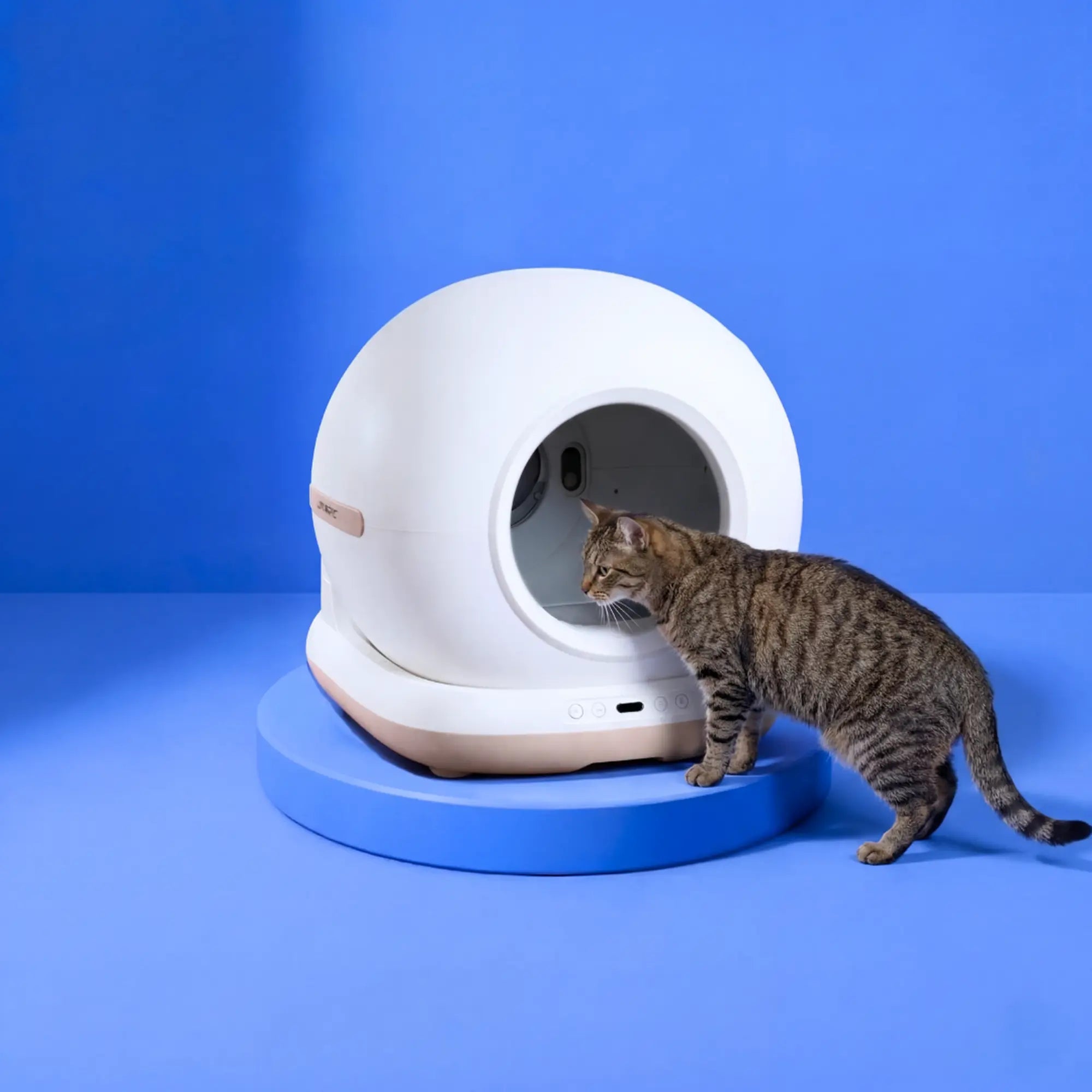 Neptune - Self-cleaning Cat toilet + smart app