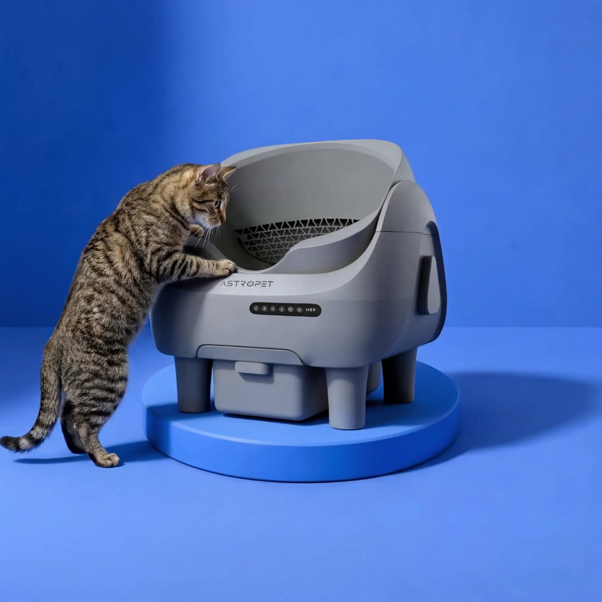 Venus - Self-cleaning cat toilet 