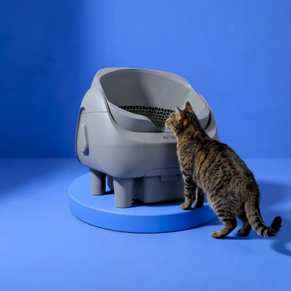 Venus - Self-cleaning cat toilet 